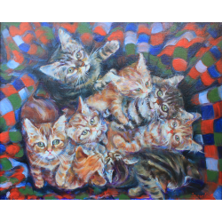 Котята