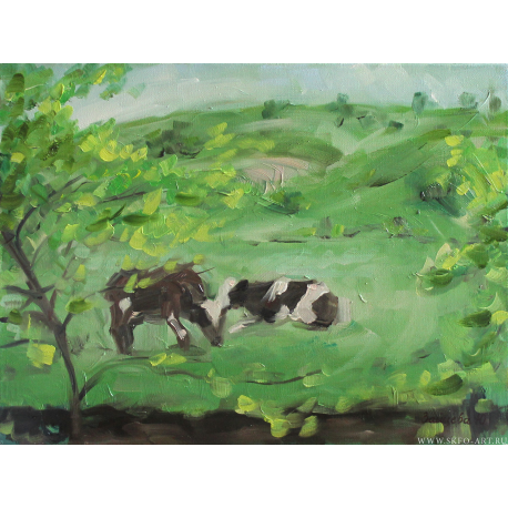 Коровки